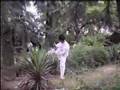 Chinese Kongfu--Wudang boxing