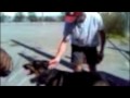 Buddy-Downtown Dog Rescue