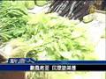 颱風將至 民眾搶菜潮