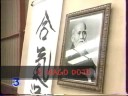 seagal sensei � lambres lez douai