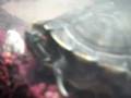 turtles yay