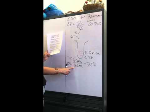 how to measure ejection fraction ultrasound