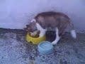 Water Time