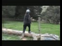 parkour barbwire fence parkour barbwire fence