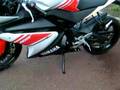 YZF R125 - Version Sports White