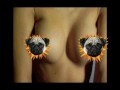 Estanislau Verdet - Per fer país... (versió amb censura)