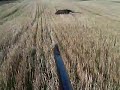 norwegian-moose-hunting.html