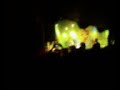 We The Kings 