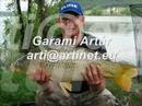 Arti and the carps 2007