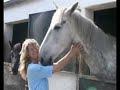 Horse Holiday Farm