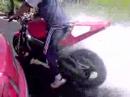 dales 750 burnout