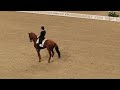 Globen horseshow 28 dec