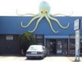 Octopus on a building