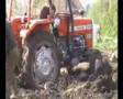 massey fergusonwy 255 wyrywanie korzeni