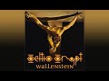 videos de Celtic Crypt Wallenstein