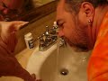 Sphynx Cat Sharing Drinking Fountain Sphynx Cat Sharing Drinking Fountain