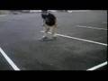 skateboard-city video