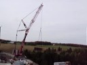 1A Grue