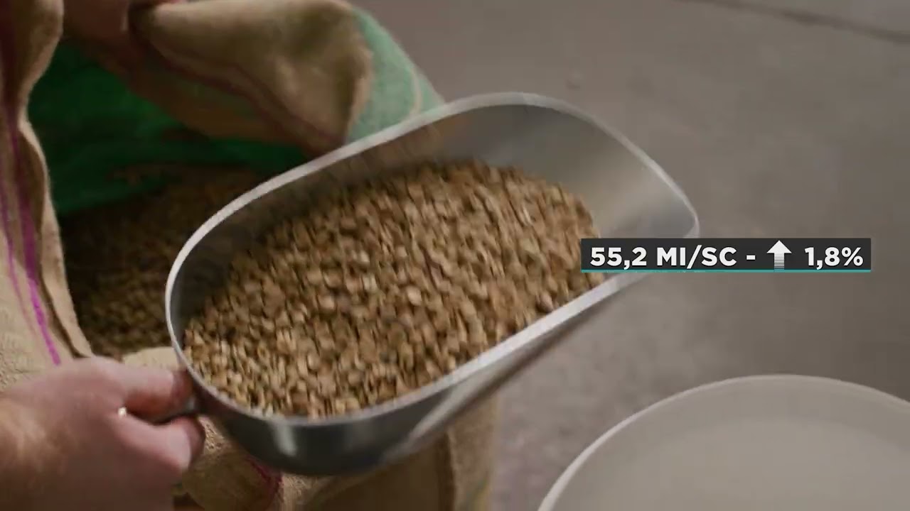 Auditores apreendem duas toneladas e meia de café irregular no Rio de Janeiro