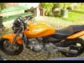 videos de golf2-hornet