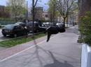 Go Ninja Go!