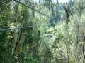 South Africa Storm River(Tsitsikamma Falls Adventure)