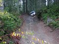 Fj cruiser first wheelin 2009