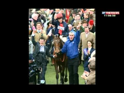 cheltenham gold cup