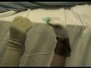 Sock-Puppet-Theater-