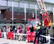 POLICIA MUNICIPAL MADRID DRUGS & BOMB DOGS DEMOSTRATION