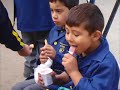 Nuestro Colegio Altair