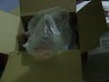 Unboxing of my new Canon EOS-450D and Canon 55-250 IS lens :-)