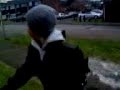 Pissing About On Ice, On BMXS