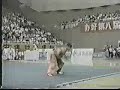 1997 Changquan Wang Wei