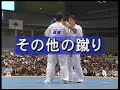 kyokushin karate　ko　 back spin   other kick 