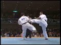 kyokushin karate　ko　 back spin   other kick 
