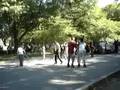 videos de NY - Bailando en Central Park 2