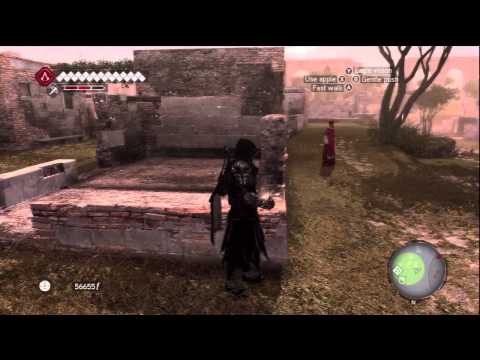 Assassin's Creed : Brotherhood