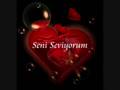 Orhan Olmez - Seni Seviyorum
