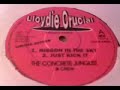 wicked jungle track from when jungle was the business. stevie wonder's amazing 'ribbon in the sky' is sampled on this.