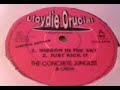 wicked jungle track from when jungle was the business. stevie wonder's amazing 'ribbon in the sky' is sampled on this.