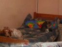 Lucky y Chiko