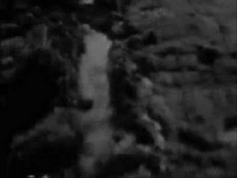 agent orange victims