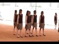 El Pipila- Cambio de Escolta 2009