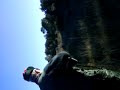 doublé fesan