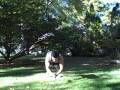 Basic Bodyweight Training #4