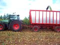 Fagan: claas jaguar 960 e Fendt 926...INSILATO MAIS 2008