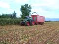 Fagan: claas jaguar 960 e Fendt 926...INSILATO MAIS 2008