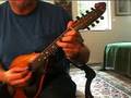 Lyon & Healy Mandolin, Style A
