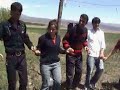 ter�eker sa?l?k oca? ve murat delilo oyunu